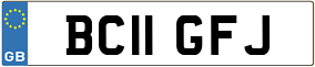 Truck License Plate